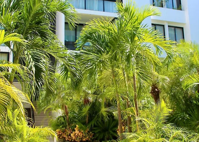 Penthouse Terrace Excellet Wifi Downtown * Playa del Carmen